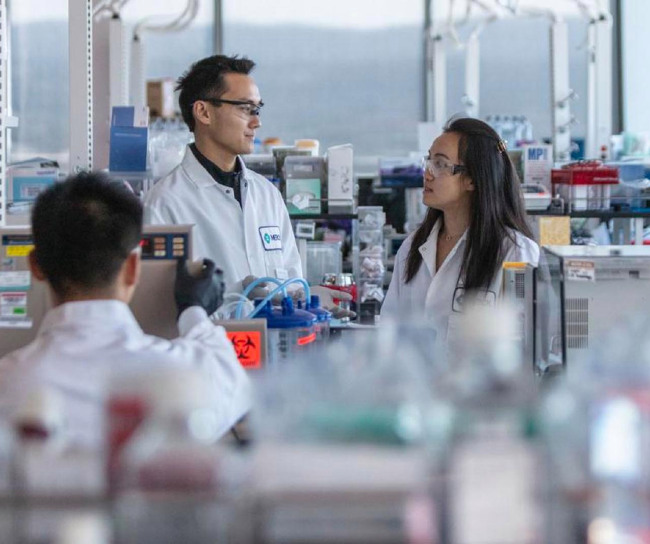 Image of scientists in a laboratory