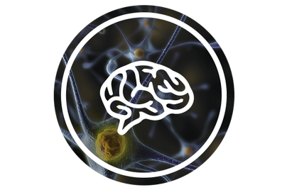 Neurology Icon