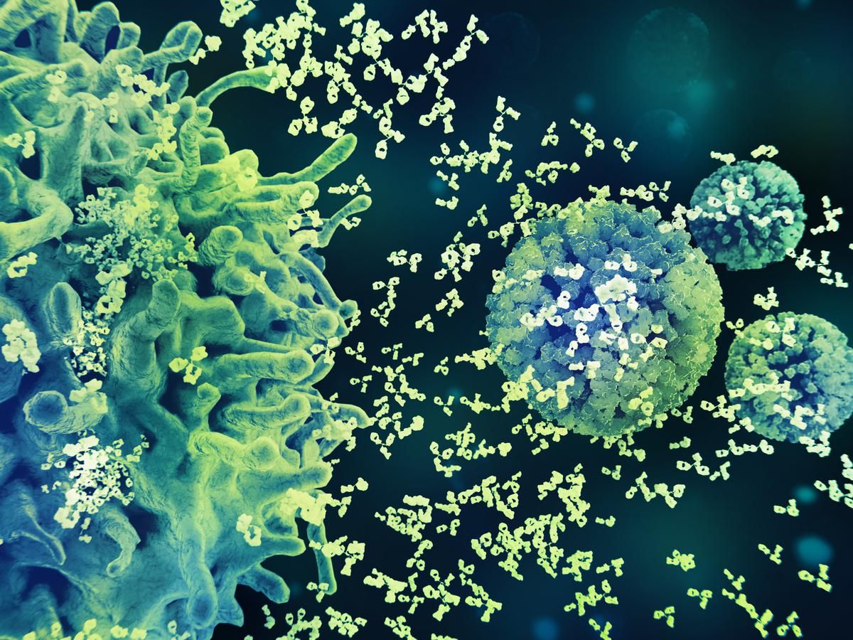 Microscope image Vaccines