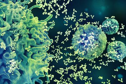 Microscope image Vaccines