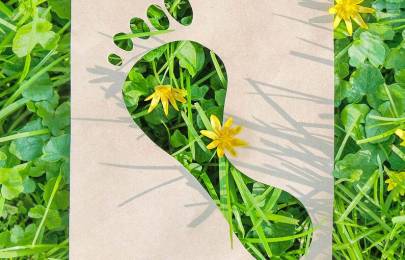 Footprint in grass