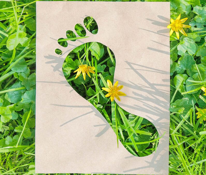 Footprint in grass
