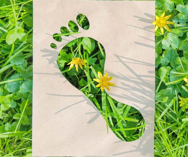 Footprint in grass