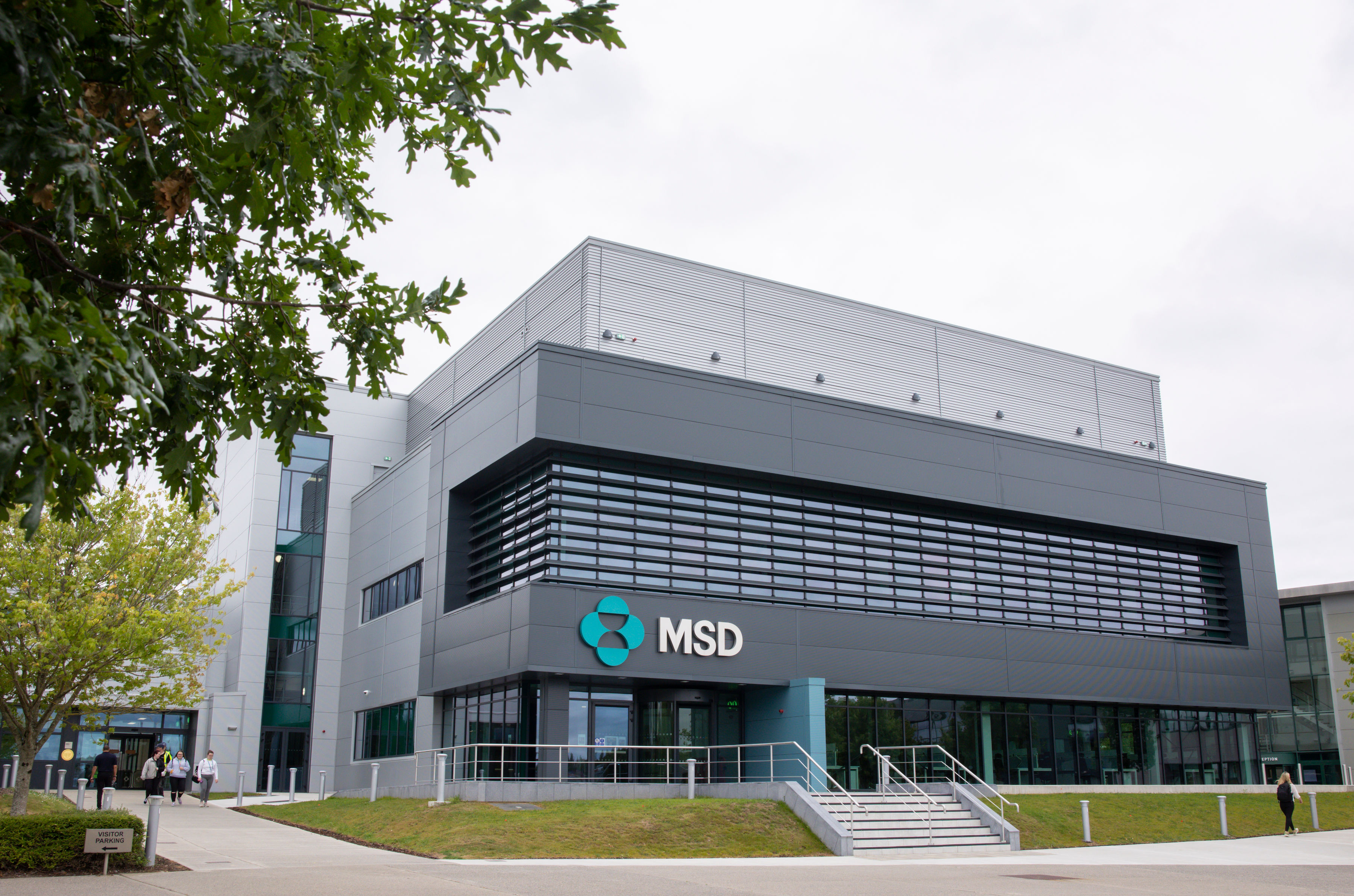 MSD Ireland announces 100 jobs in latest major expansion of Carlow site ...